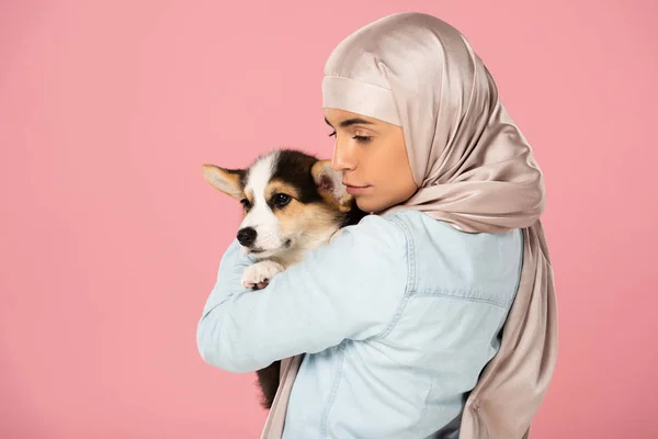 Beautiful muslim girl in hijab holding Welsh Corgi puppy, isolated on pink — Stock Photo