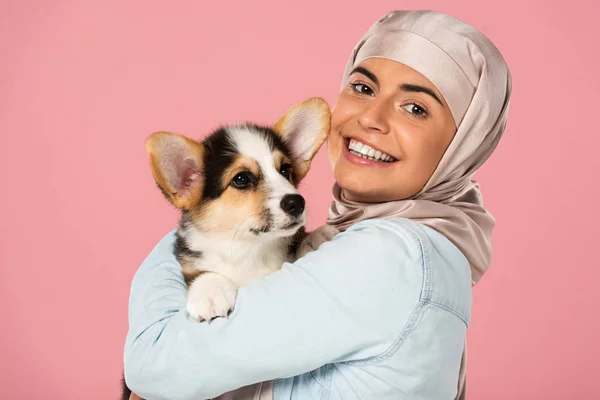 Smiling muslim girl in hijab holding Welsh Corgi dog, isolated on pink — Stock Photo