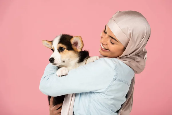 Fröhliches muslimisches Mädchen im Hijab mit walisischem Corgi-Hund, isoliert auf rosa — Stockfoto