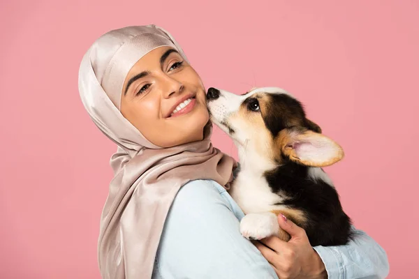 Chica musulmana sonriente en hijab sosteniendo cachorro galés Corgi, aislado en rosa - foto de stock