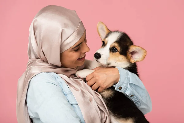 Schönes muslimisches Mädchen im Hijab, das Welpen aus Wales hält, isoliert auf rosa — Stockfoto