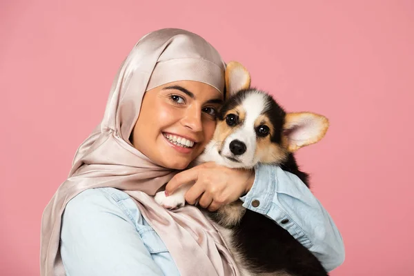 Attraktives muslimisches Mädchen im Hijab mit Welpen aus Wales, isoliert auf rosa — Stockfoto