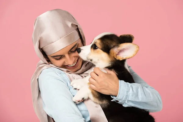 Fröhliches arabisches Mädchen im Hijab mit walisischem Corgi-Welpen, isoliert auf rosa — Stockfoto