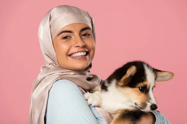 Happy arabic young woman in hijab holding cute corgi puppy, isolated on pink — Stock Photo