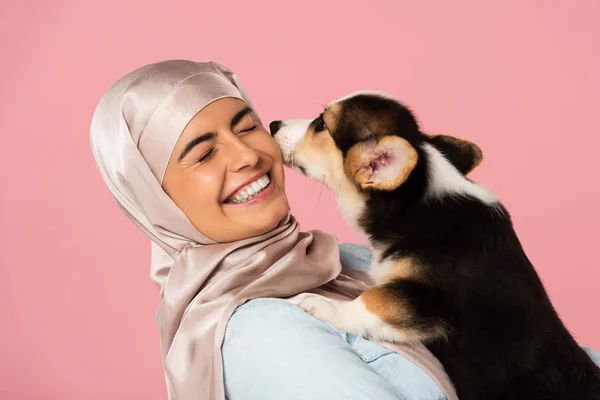 Arabische junge Frau im Hijab mit niedlichem Corgi-Welpen, isoliert auf rosa — Stockfoto
