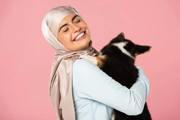 Alegre árabe chica en hijab celebración lindo cachorro, aislado en rosa - foto de stock