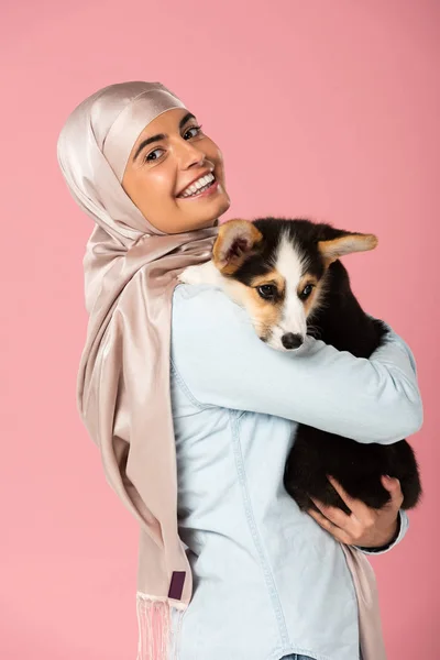 Sorridente ragazza araba in hijab con in mano simpatico cucciolo di corgi, isolato su rosa — Foto stock