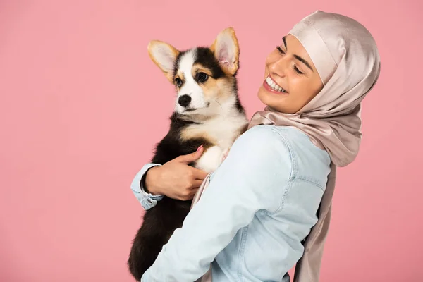 Cheerful muslim woman in hijab holding Welsh Corgi puppy, isolated on pink — Stock Photo