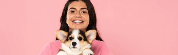 Happy girl holding cute Corgi puppy, isolated on pink — Stock Photo