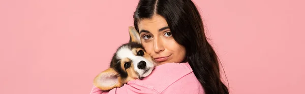 Young woman holding cute Corgi puppy, isolated on pink — Stock Photo
