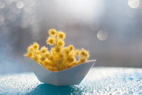 Gelbe kleine Kugeln von Mimosen-Blumen in einem Papierboot auf blauem Hintergrund mit Bokeh — Stockfoto