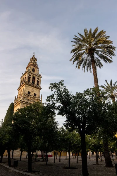 Tower of the mosque - cathedral of Cordoba — Stock Photo, Image