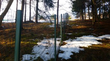 Bir arka plan güzel Woods ile uzun eski çit