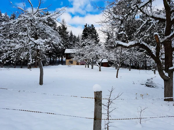 Ağaçları ve güzel gökyüzü ve arka planda eski ev ile karlı gün — Stok fotoğraf