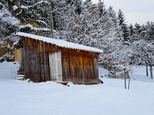 バック グラウンドでフォレストと冬の雰囲気の中で雪に覆われた屋根の古い小屋 — ストック写真