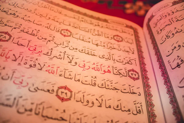 The Holy Quran — Stock Photo, Image