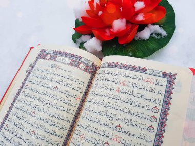 Kar Kur 'An-ı Kerim