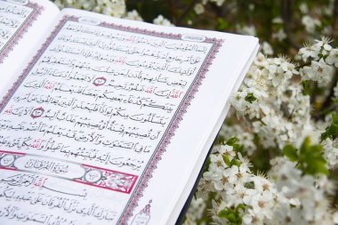 Kutsal Kuran.