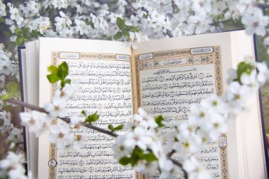 Kutsal Kuran.