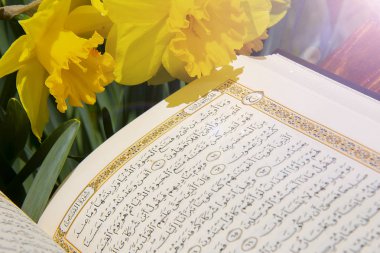 Kur 'An-ı Kerim-Islam kutsal kitap