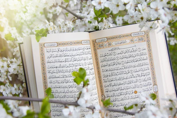 The Holy Quran — Stock Photo, Image