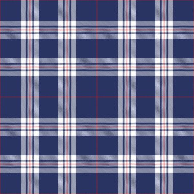 Mavi ve Beyaz Tartan Deseni.
