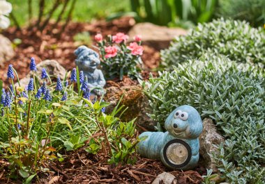 Bahçeden güzel çiçekler