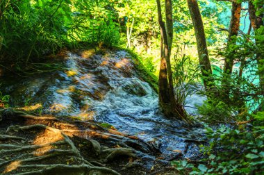 Işık, gölge ve renk doğada