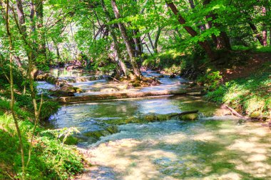 Işık, gölge ve renk doğada