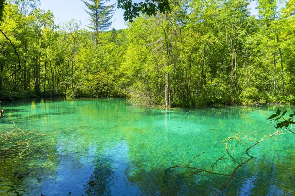 Güzel doğa. Plitvice harikaları.