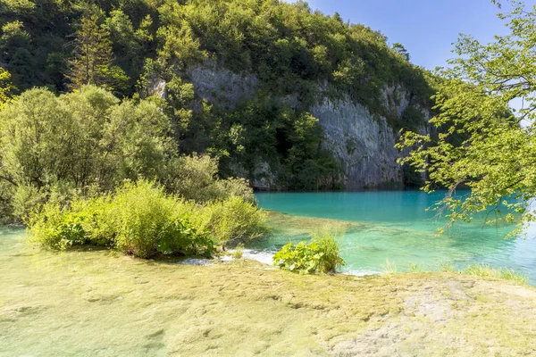 Güzel doğa. Plitvice harikaları.