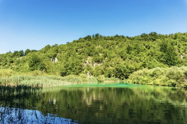 Güzel doğa. Plitvice harikaları.
