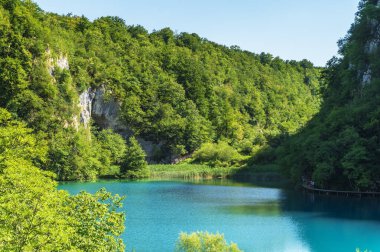 Güzel doğa. Plitvice harikaları.