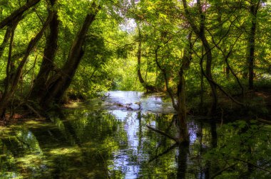 Güzel doğa. Plitvice harikaları.