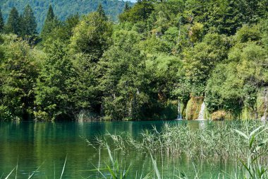 Güzel doğa. Plitvice harikaları.