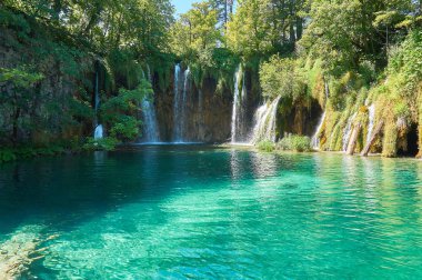 Güzel doğa. Plitvice harikaları.