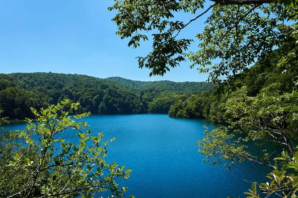Güzel doğa. Plitvice harikaları.