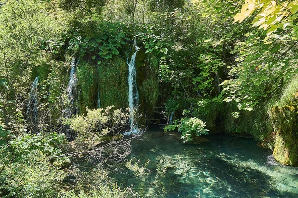 Güzel doğa. Plitvice harikaları.