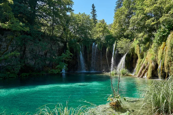 Güzel doğa. Plitvice harikaları.