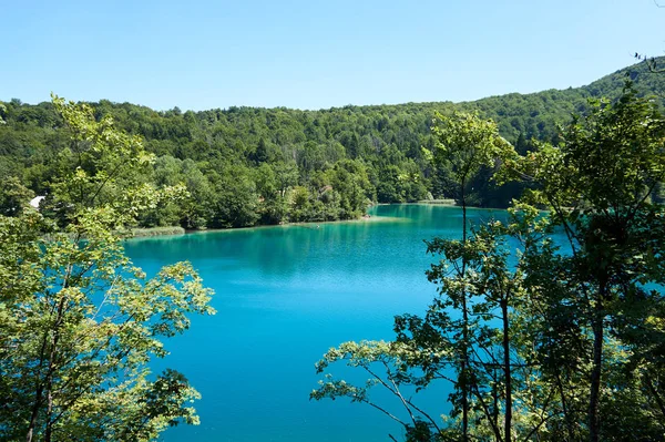 Güzel doğa. Plitvice harikaları.