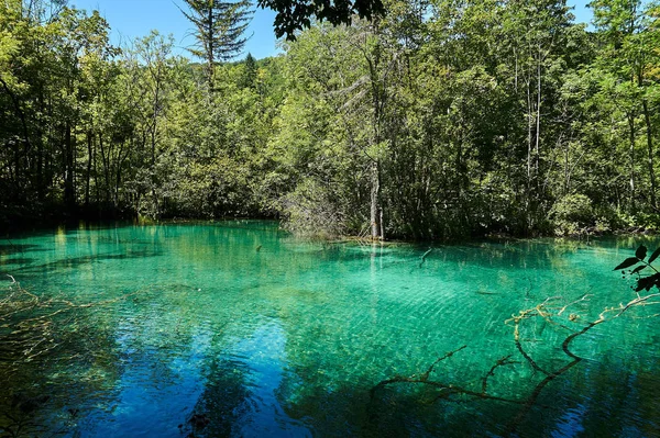 Güzel doğa. Plitvice harikaları.