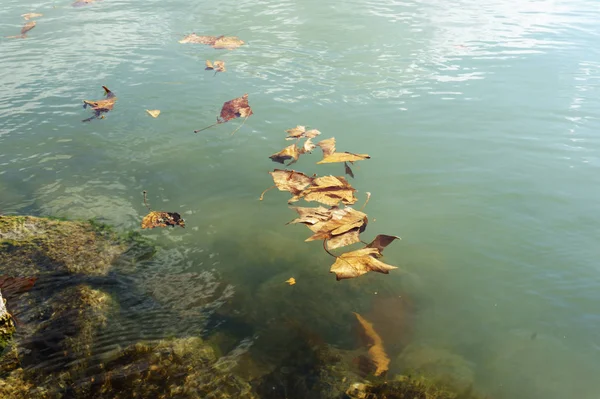 Balaton sessiz sakin resimleri. Macaristan