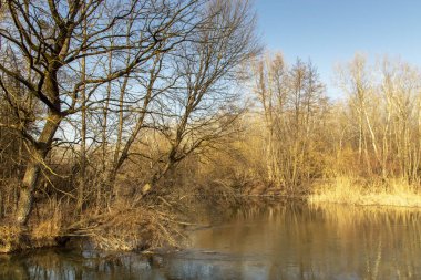 Doğa fotoğrafları Szigetkoz Macaristan üzerinden alınan