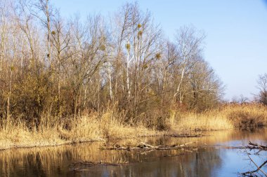 Doğa fotoğrafları Szigetkoz Macaristan üzerinden alınan
