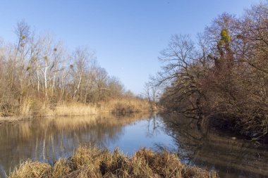 Doğa fotoğrafları Szigetkoz Macaristan üzerinden alınan