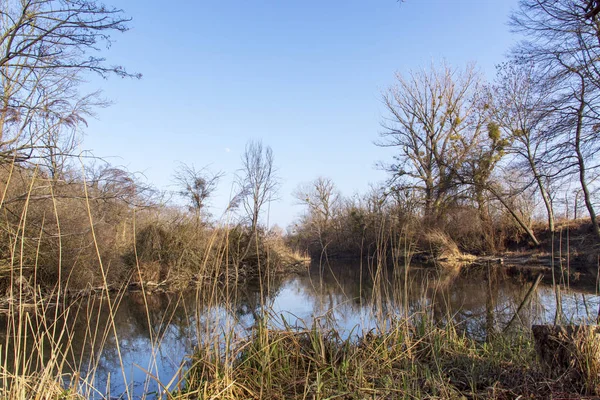 Nature Photos Taken Szigetkoz Hungary — Stock Photo, Image