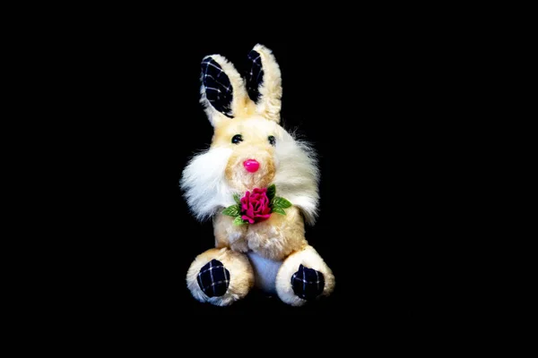 ウサギとイースター装飾 — ストック写真