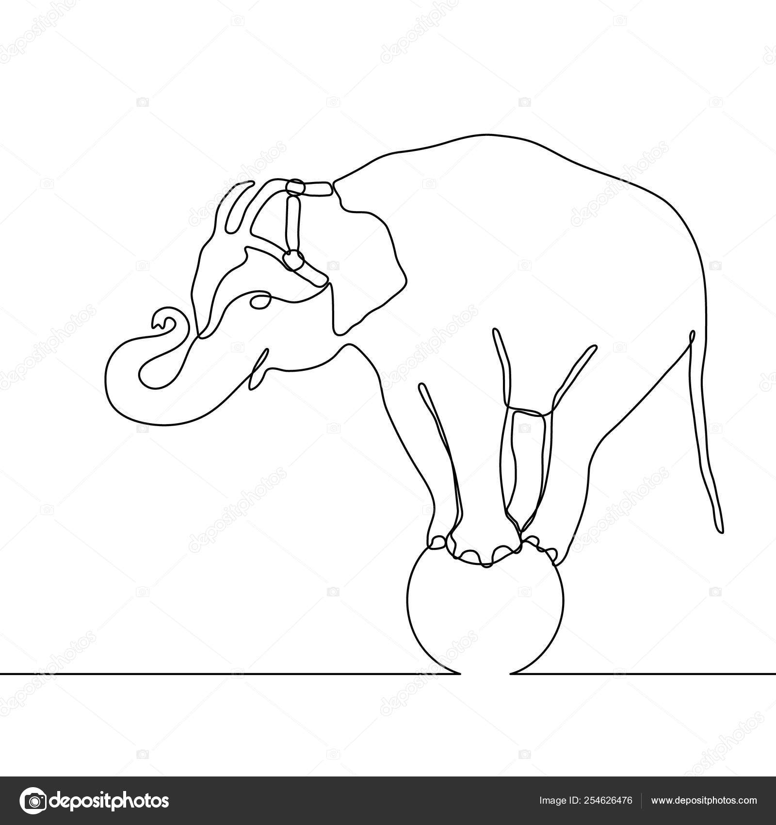 Free Free Elephant Line Drawing Svg 461 SVG PNG EPS DXF File
