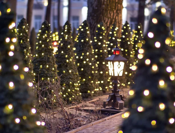 Beco de árvores de Natal decoradas com guirlandas e lanterna Imagem De Stock