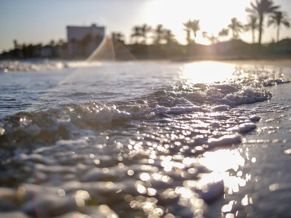 L'éclaboussure des vagues de la mer, le reflet des rayons du soleil dans l'eau, le coucher du soleil sur un fond de palmiers — Photo